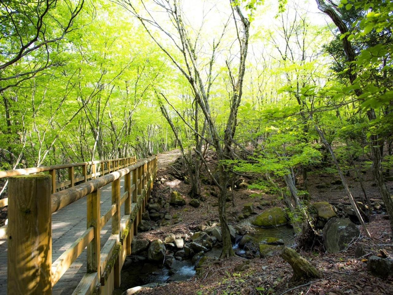 Mineyama Kogen Hotel Relaxia Kamikawa  Esterno foto